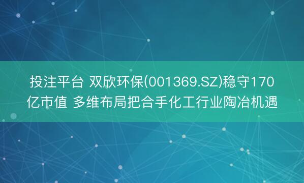投注平台 双欣环保(001369.SZ)稳守170亿市值 多维布局把合手化工行业陶冶机遇