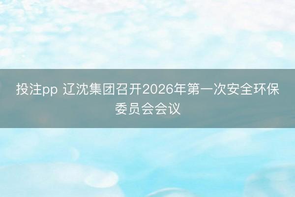 投注pp 辽沈集团召开2026年第一次安全环保委员会会议