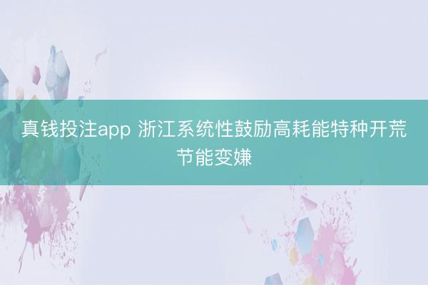 真钱投注app 浙江系统性鼓励高耗能特种开荒节能变嫌