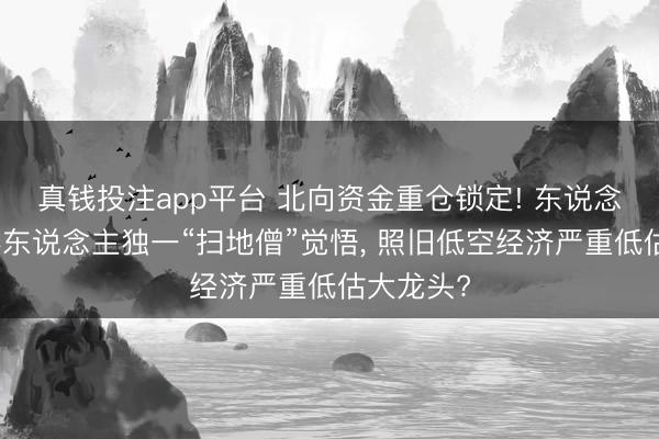 真钱投注app平台 北向资金重仓锁定! 东说念主形机器东说念主独一“扫地僧”觉悟, 照旧低空经济严重低估大龙头?