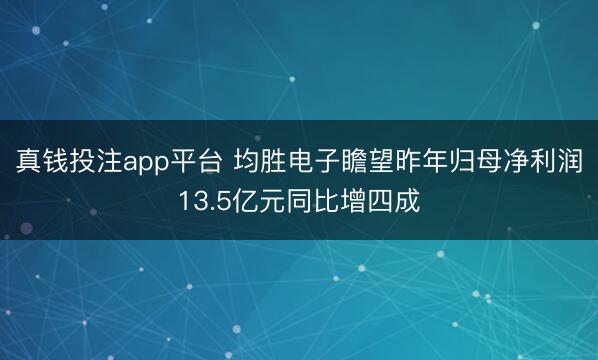 真钱投注app平台 均胜电子瞻望昨年归母净利润13.5亿元同比增四成