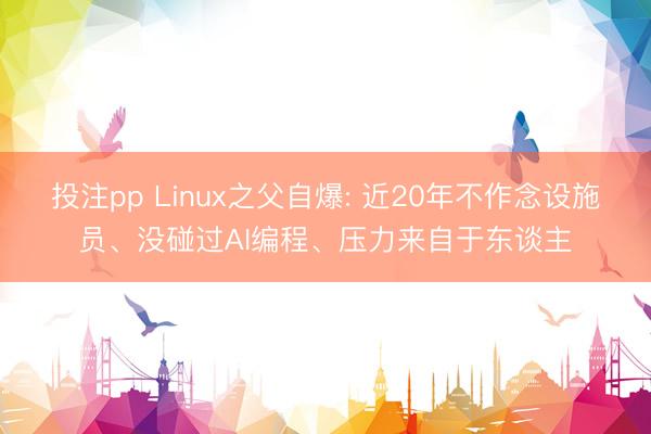 投注pp Linux之父自爆: 近20年不作念设施员、没碰过AI编程、压力来自于东谈主