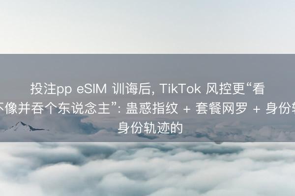 投注pp eSIM 训诲后, TikTok 风控更“看你像不像并吞个东说念主”: 蛊惑指纹 + 套餐网罗 + 身份轨迹的