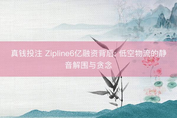 真钱投注 Zipline6亿融资背后: 低空物流的静音解围与贪念
