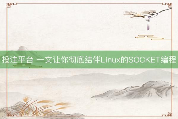 投注平台 一文让你彻底结伴Linux的SOCKET编程