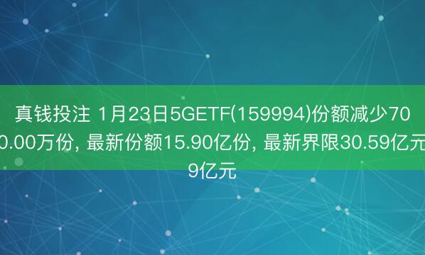 真钱投注 1月23日5GETF(159994)份额减少700.00万份, 最新份额15.90亿份, 最新界限30.59亿元