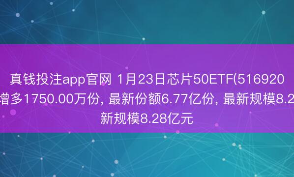 真钱投注app官网 1月23日芯片50ETF(516920)份额增多1750.00万份, 最新份额6.77亿份, 最新规模8.28亿元