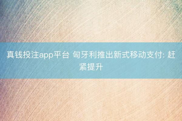 真钱投注app平台 匈牙利推出新式移动支付: 赶紧提升