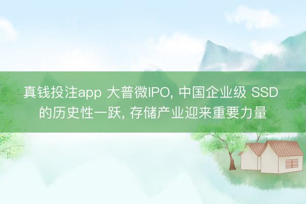 真钱投注app 大普微IPO, 中国企业级 SSD 的历史性一跃, 存储产业迎来重要力量