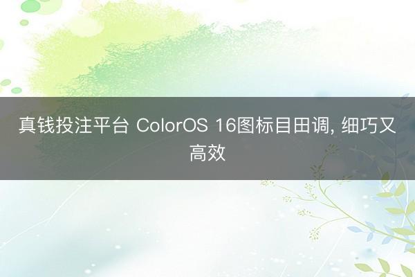 真钱投注平台 ColorOS 16图标目田调, 细巧又高效