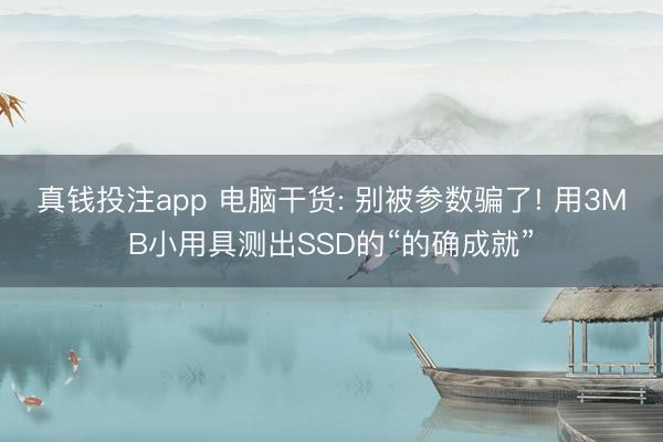 真钱投注app 电脑干货: 别被参数骗了! 用3MB小用具测出SSD的“的确成就”