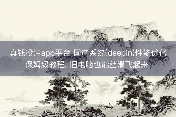 真钱投注app平台 国产系统(deepin)性能优化保姆级教程, 旧电脑也能丝滑飞起来!