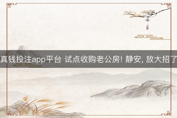 真钱投注app平台 试点收购老公房! 静安, 放大招了