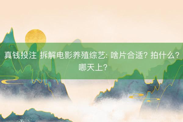 真钱投注 拆解电影养殖综艺: 啥片合适? 拍什么? 哪天上?