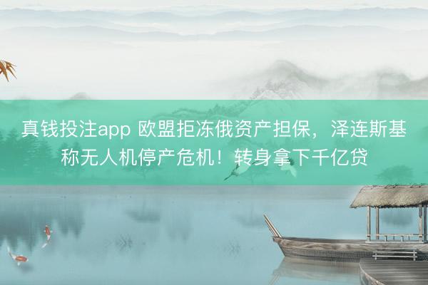 真钱投注app 欧盟拒冻俄资产担保，泽连斯基称无人机停产危机！转身拿下千亿贷