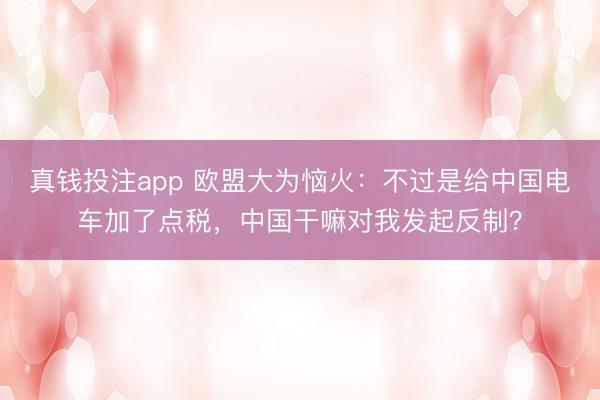 真钱投注app 欧盟大为恼火:不过是给中国电车加了点税,中国干嘛对我发起反制?