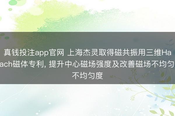 真钱投注app官网 上海杰灵取得磁共振用三维Halbach磁体专利, 提升中心磁场强度及改善磁场不均匀度