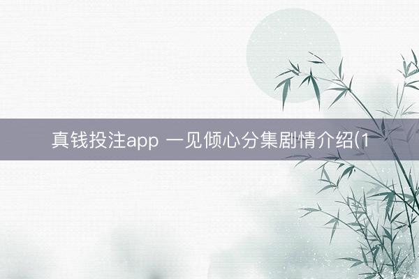 真钱投注app 一见倾心分集剧情介绍(1