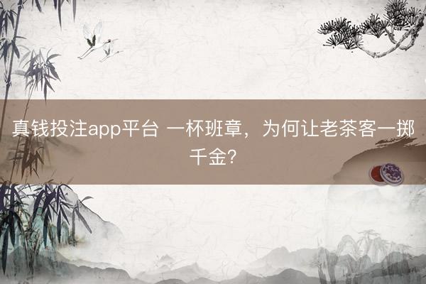真钱投注app平台 一杯班章，为何让老茶客一掷千金？
