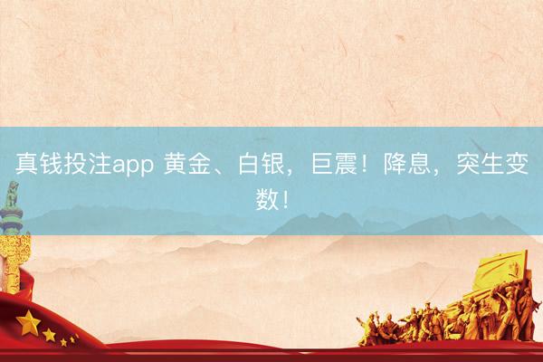 真钱投注app 黄金、白银，巨震！降息，突生变数！