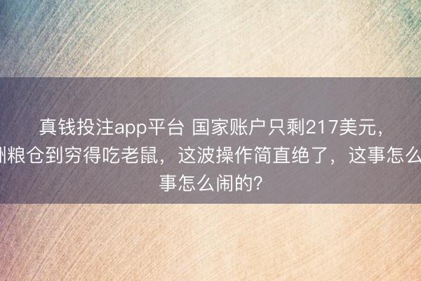 真钱投注app平台 国家账户只剩217美元，从非洲粮仓到穷得吃老鼠，这波操作简直绝了，这事怎么闹的？