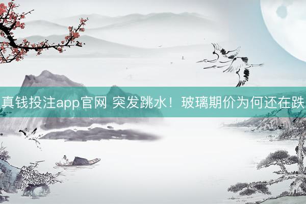 真钱投注app官网 突发跳水！玻璃期价为何还在跌