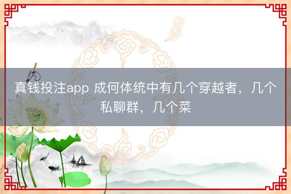 真钱投注app 成何体统中有几个穿越者，几个私聊群，几个菜