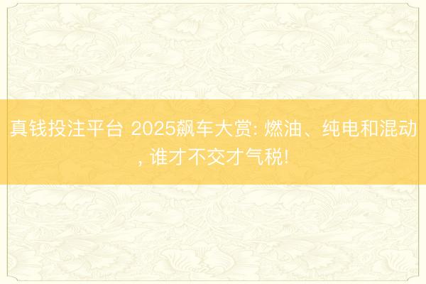 真钱投注平台 2025飙车大赏: 燃油、纯电和混动, 谁才不交才气税!