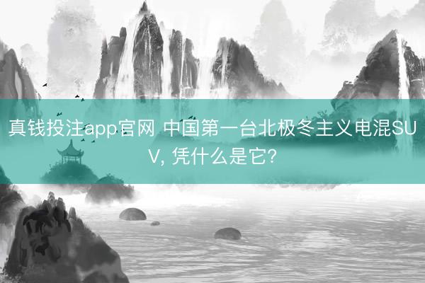 真钱投注app官网 中国第一台北极冬主义电混SUV, 凭什么是它?