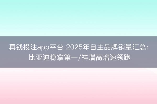 真钱投注app平台 2025年自主品牌销量汇总: 比亚迪稳拿第一/祥瑞高增速领跑