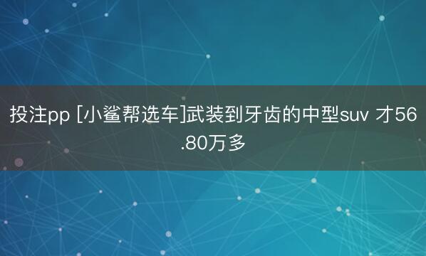 投注pp [小鲨帮选车]武装到牙齿的中型suv 才56.80万多