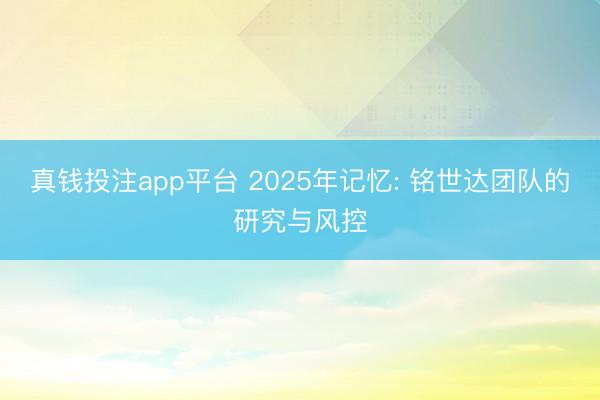 真钱投注app平台 2025年记忆: 铭世达团队的研究与风控