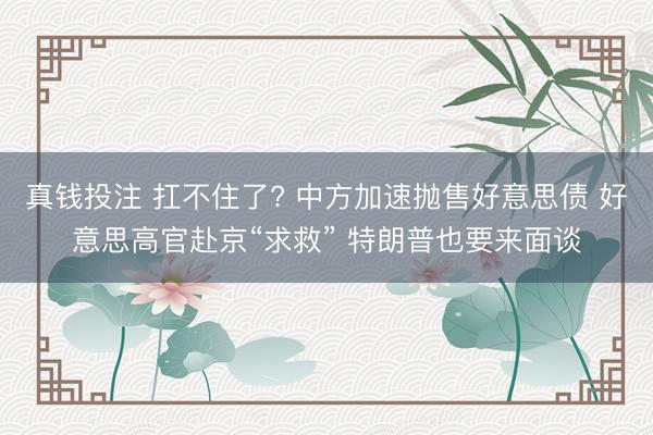 真钱投注 扛不住了? 中方加速抛售好意思债 好意思高官赴京“求救” 特朗普也要来面谈