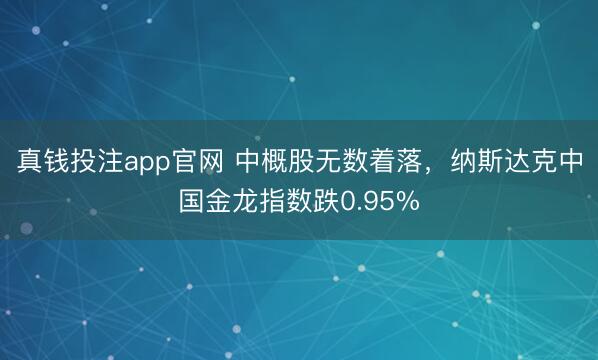 真钱投注app官网 中概股无数着落,纳斯达克中国金龙指数跌0.95%