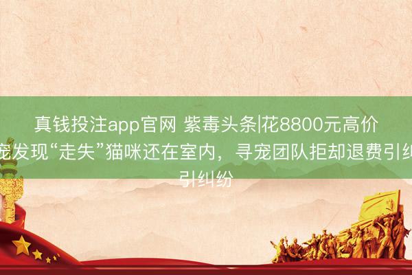 真钱投注app官网 紫毒头条|花8800元高价寻宠发现“走失”猫咪还在室内,寻宠团队拒却退费引纠纷