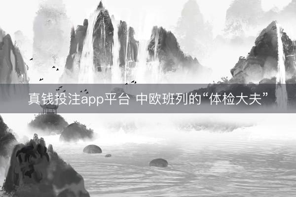 真钱投注app平台 中欧班列的“体检大夫”