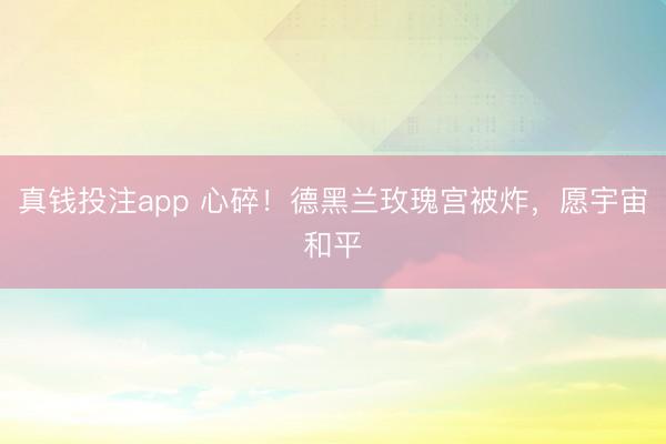 真钱投注app 心碎！德黑兰玫瑰宫被炸，愿宇宙和平