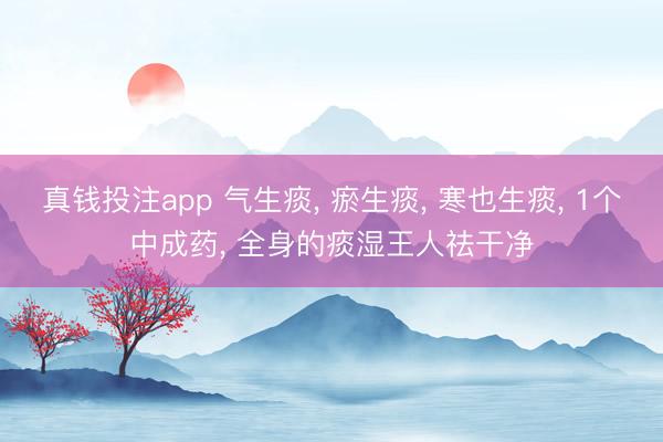 真钱投注app 气生痰, 瘀生痰, 寒也生痰, 1个中成药, 全身的痰湿王人祛干净