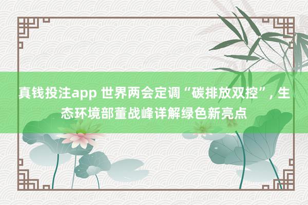 真钱投注app 世界两会定调“碳排放双控”, 生态环境部董战峰详解绿色新亮点