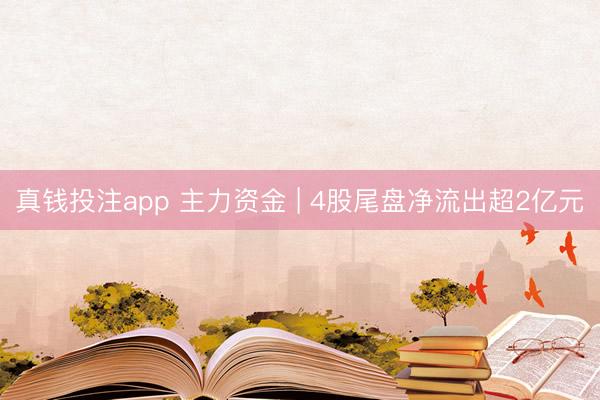 真钱投注app 主力资金 | 4股尾盘净流出超2亿元