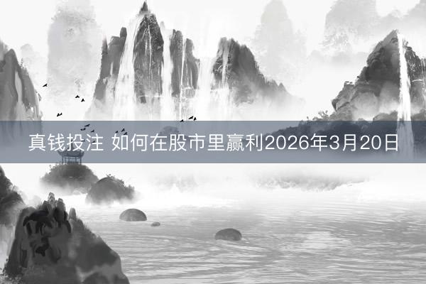 真钱投注 如何在股市里赢利2026年3月20日