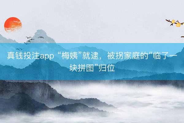 真钱投注app “梅姨”就逮，被拐家庭的“临了一块拼图”归位