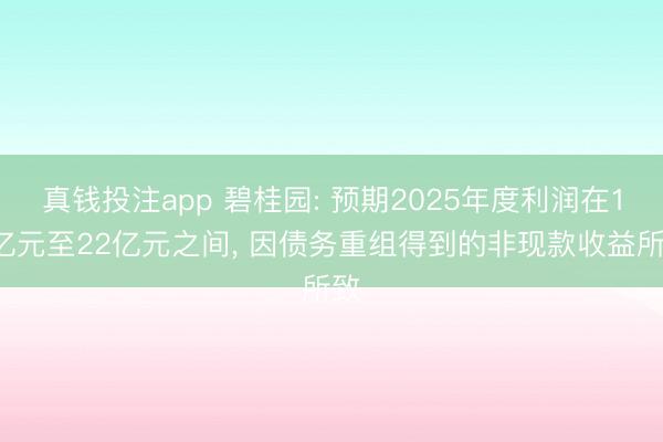 真钱投注app 碧桂园: 预期2025年度利润在10亿元至22亿元之间, 因债务重组得到的非现款收益所致