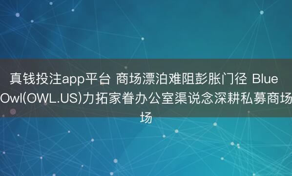 真钱投注app平台 商场漂泊难阻彭胀门径 Blue Owl(OWL.US)力拓家眷办公室渠说念深耕私募商场
