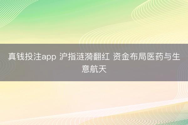 真钱投注app 沪指涟漪翻红 资金布局医药与生意航天