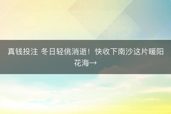 真钱投注 冬日轻佻消逝！快收下南沙这片暖阳花海→
