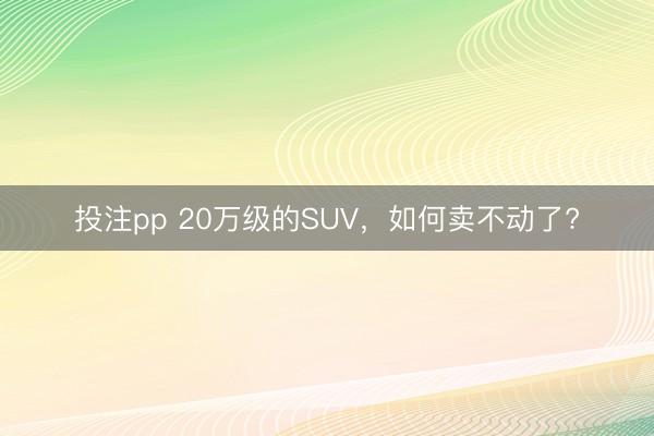 投注pp 20万级的SUV，如何卖不动了?