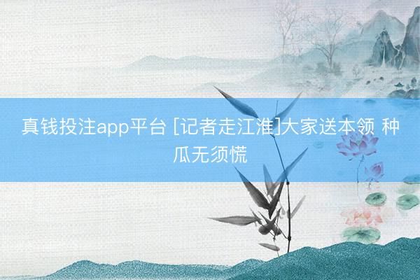 真钱投注app平台 [记者走江淮]大家送本领 种瓜无须慌