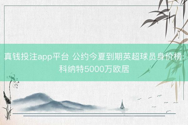 真钱投注app平台 公约今夏到期英超球员身价榜:科纳特5000万欧居