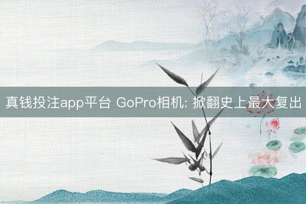 真钱投注app平台 GoPro相机: 掀翻史上最大复出